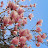 @푸른sky-s3t