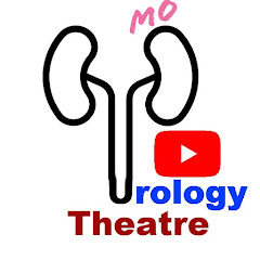 The Urology Theatre | Mr Mohamed Noureldin