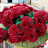 @Golden-f4o-e1t