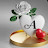 @Alauddin.750 Avatar