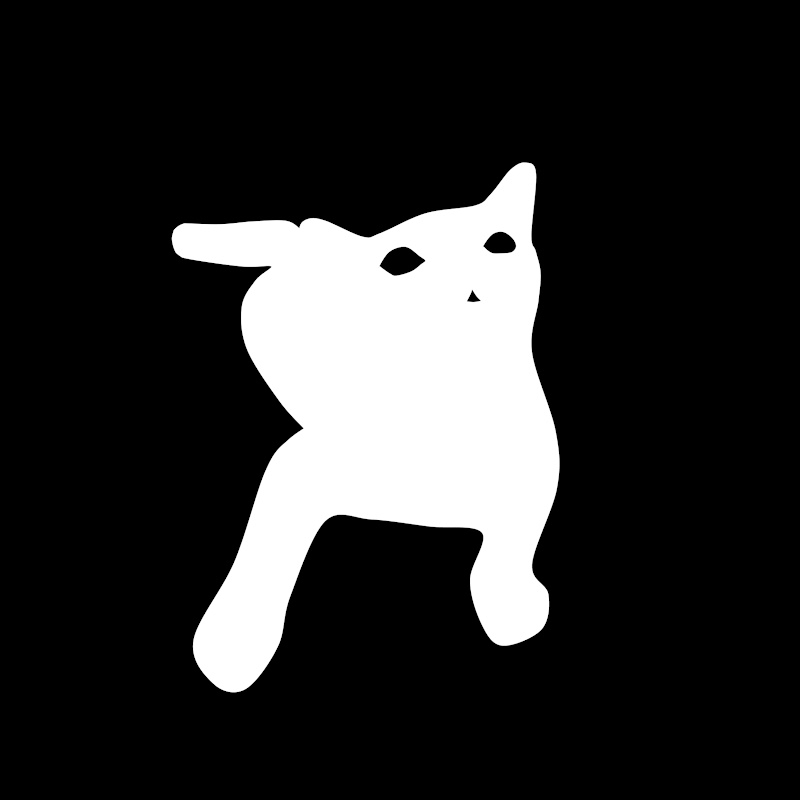 WatchCat Studio