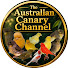 tRk-A9eqd5c-channel-avatar-The Australian Canary Channel