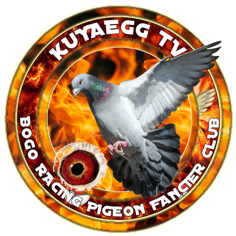 KuyaEgg TV