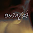 Fka0TGJX1vU-channel-avatar-ไพ่ ผี และเรื่องของผม
