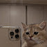 LW1wePP8X3U-channel-avatar-Loopify
