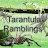 Tarantula ramblings