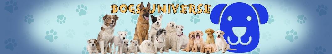 Dogs Universe ইউটিউব চ্যানেল অ্যাভাটার