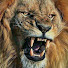 IDRGINlppZo-channel-avatar-ONE MAN'S LIFE MISSION