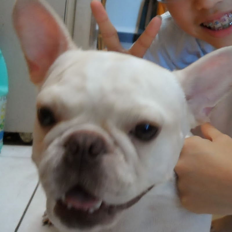 Jenny的生活碎片 Logo