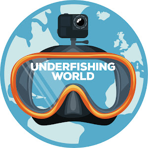 UCnxjgkiDyGjJEcg2waDytqg YouTube channel image