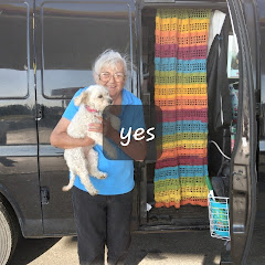 L.A.V.A Lindy's Awesome Van Adventure net worth