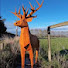 a1sCjGMvpCE-channel-avatar- zaks travel