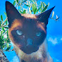 Clyde the Cat YouTube Profile Photo