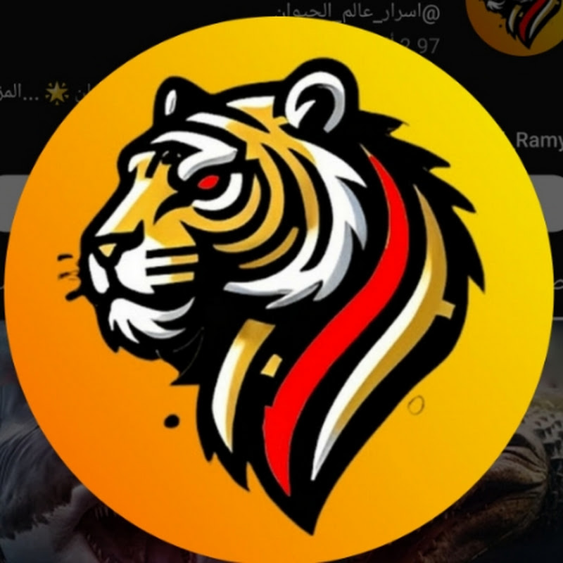 تصاميم الكيان