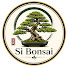 b44dWnCaCWA-channel-avatar-Si Bonsai