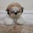 @chaeyoungchang9574