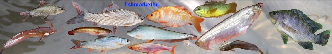 fishmarketbd Avatar de canal de YouTube