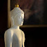 Jr6EtVZ3wkY-channel-avatar-โยนิโสมนสิการ