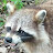 @bountyhunter4885's avatar