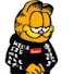 TxUoQDJqZGo-channel-avatar-The Garfield guy