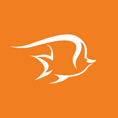 Sunlover Reef Cruises channel thumbnail