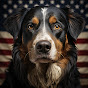 Bernese Mountain Dog USA logo