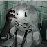 wCl_k9Yi0_g-channel-avatar-Arkade