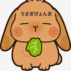 うさぎぴょん吉