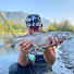 0tDzO0B50cA-channel-avatar-Laurent Jauffret Fishing