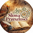 NrUz5Vz3F5E-channel-avatar-Słowa Przeszłości