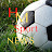Sport NEWS HM