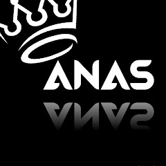 Anaseditz2.0