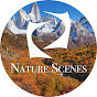 Nature Scenes logo