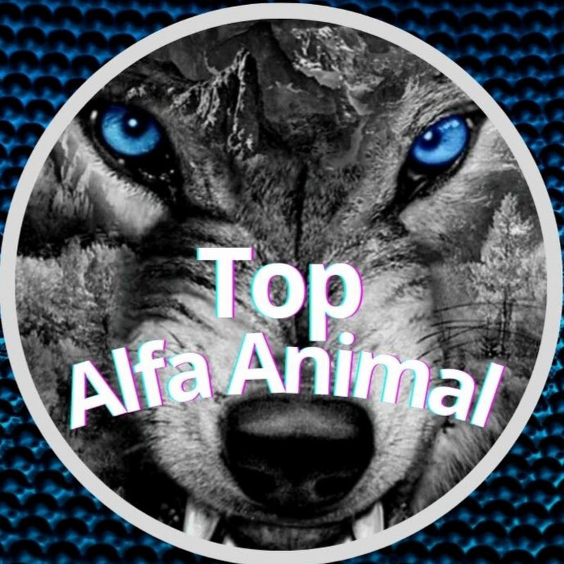 TopAlfaAnimal