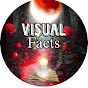 Visual Facts logo
