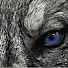 5l-BuFUHl6k-channel-avatar-H. Holmes