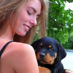 Dog breeds Породы собак avatar