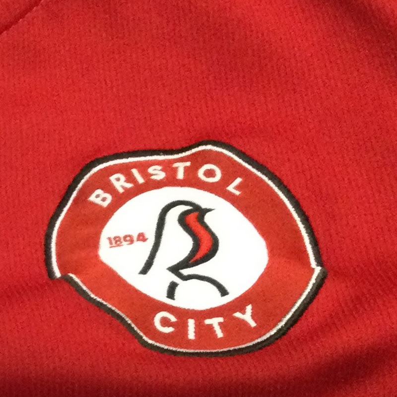 Bristol city forever❤️