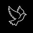 pz75ykSkhq8-channel-avatar-Igreja Vida Nova