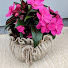 aPgcWgANv5s-channel-avatar-HomePotCraft