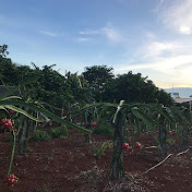 Rain for Focus & Calm