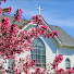 crkbV9Rli8s-channel-avatar-Sion Lutheran Church