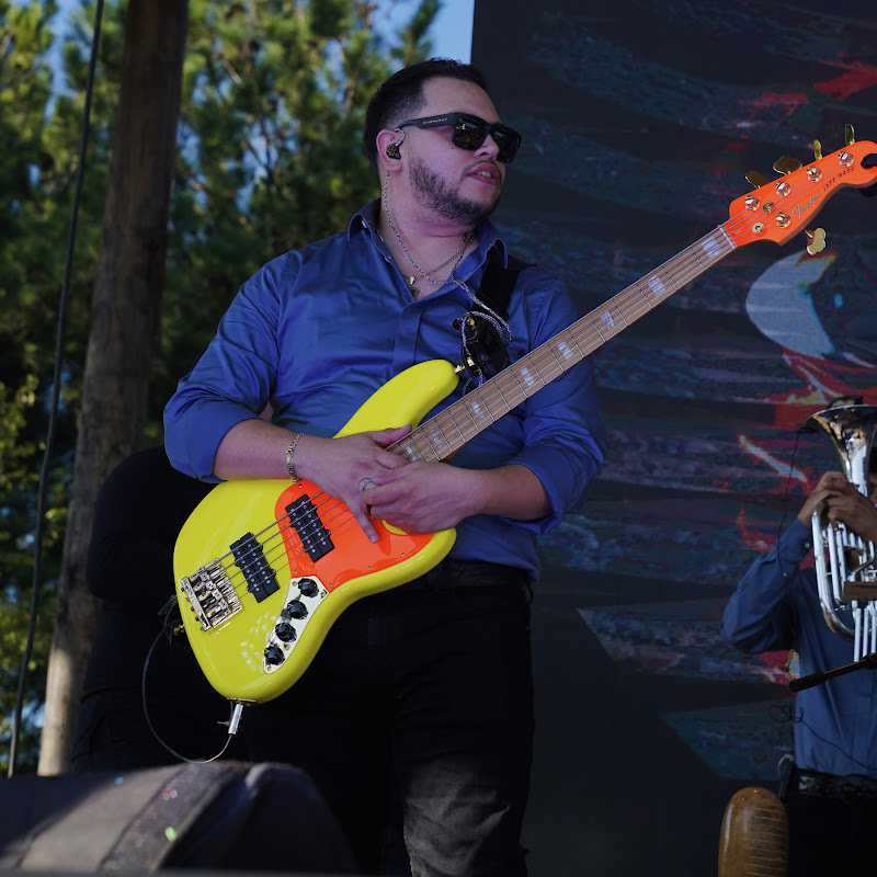 Irwin Bass