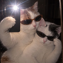 오도훈