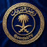 q2JIEBQKUsw-channel-avatar-منوعات زعيم السرداب