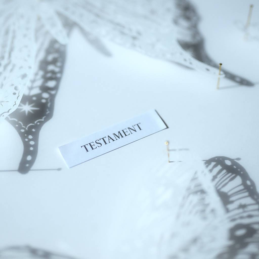 Novelbright - YouTube