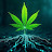 @CannabisGeek_97
