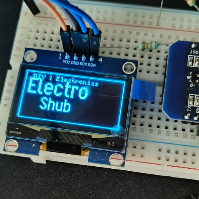 Electro Shub