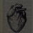 @مياريوسف-ن3ص