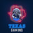 TexS Gaming Organization